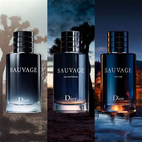 dior sauvage pour femme|fragrances like Dior Sauvage.